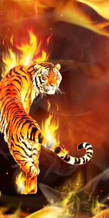 fantasy tiger 3d cgi fire flame psychedelic MjcyNjA2