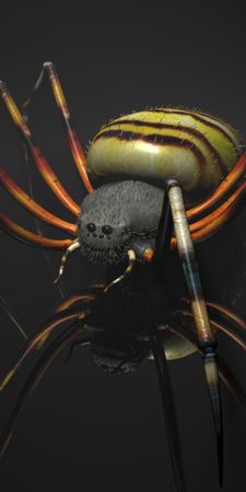 animal spider 3d tiger MzQ4NTYw