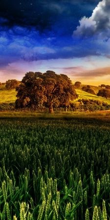 photography-manipulation-3d-cgi-cloud-hill-landscape-sky-wheat-NTQ3Njk0