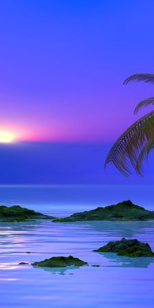 artistic landscape 3d cgi earth ocean palm_tree sun sunset tropical NzY3NTYz